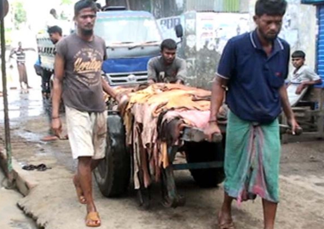 চামড়ার কদর নেই এবারেও