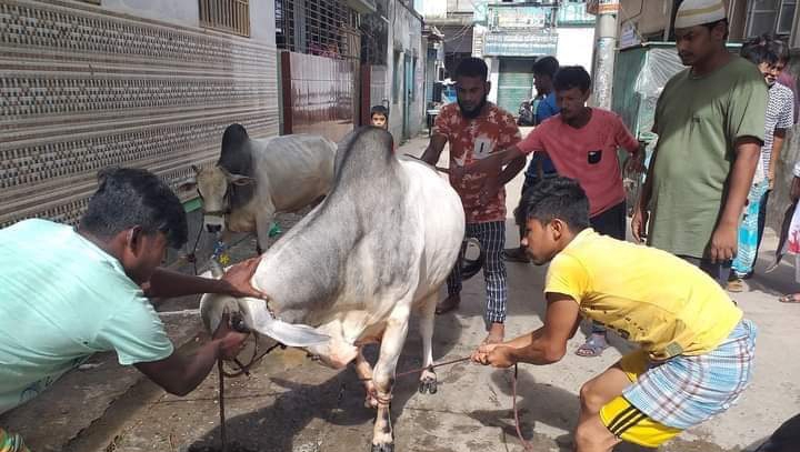 ত্যাগের মহিমায় না:গঞ্জে পশু কোরবানি
