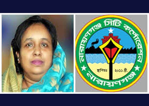 মশায় অতিষ্ঠ নগরবাসীর কুকুর আর যানজটে ভোগান্তি