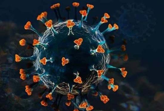 না:গঞ্জে করোনায় আরো ৩ জনের প্রাণহানী, আক্রান্ত ১২১