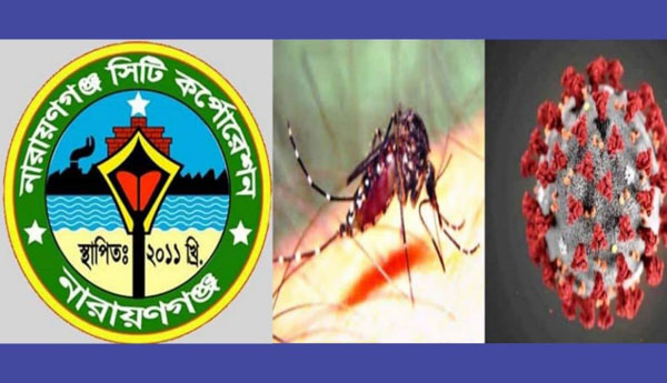 বৃষ্টিতে বেড়েছে ডেঙ্গু মশার প্রজনন, নির্বিকার নাসিক