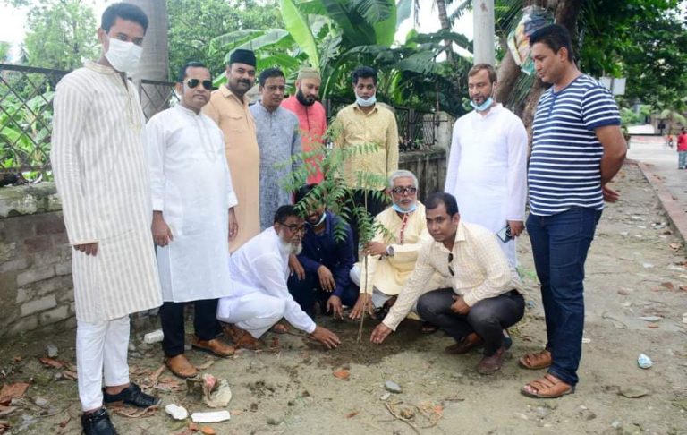 সরকার অবাধে বৃক্ষ নিধন করছে: এড. সাখাওয়াত