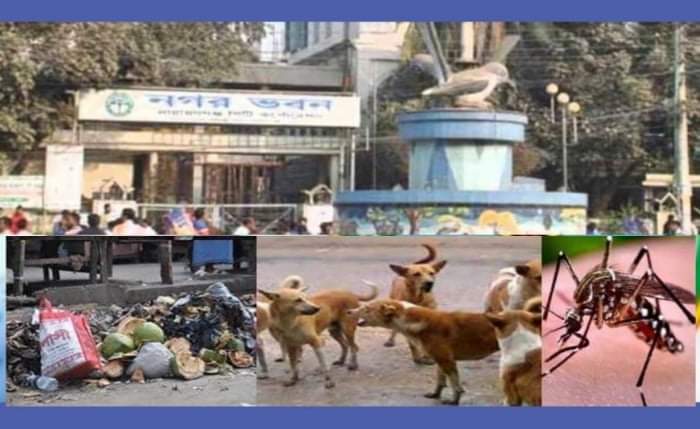 অবকাঠামোর উন্নয়ন হলেও নাগরিক সুবিধা পায়নি নগরবাসী
