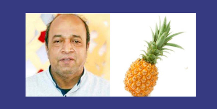 সোনারগাঁয়ে আনারসের কাছে ধরাসায়ী নৌকা