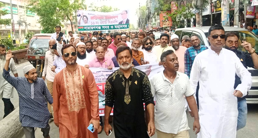 মাসুদ-আনোয়ারের নেতৃত্বে সদর থানা বিএনপির শোডাউন