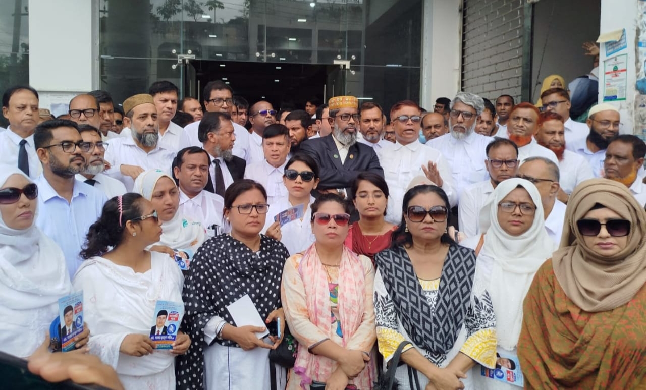 হুমায়ুন-আনোয়ার পরিষদের প্রচারণায় উৎসবের আমেজ