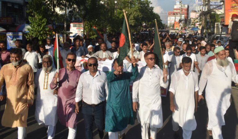 সদর থানা বিএনপির জমকালো আনন্দ র‍্যালি