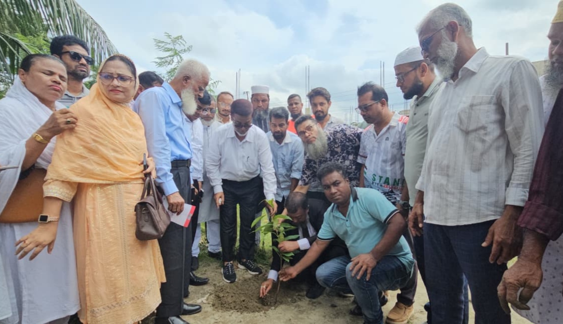 হাজীগঞ্জ মডেল কিন্ডারগার্টেন স্কুলে বৃক্ষরোপণ কর্মসূচি পালন
